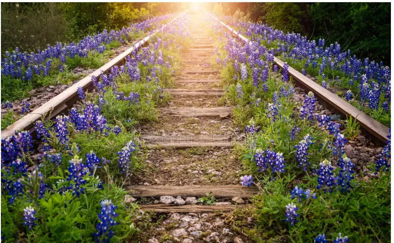 Summer is Here! Get Your Rail Game On Point!